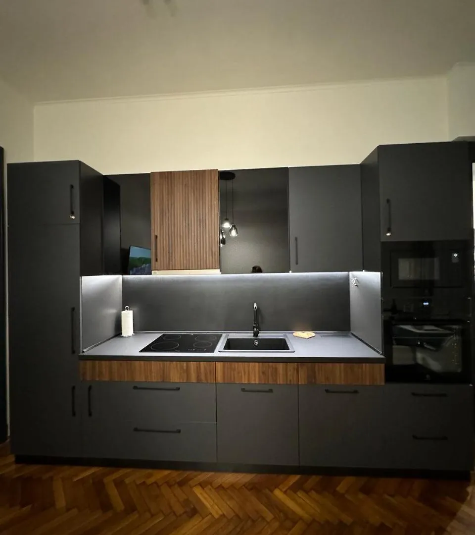 Astra Lux Bp Apartment Budapest